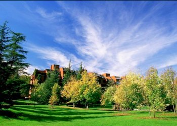 Trilocale Basiglio - foto 19