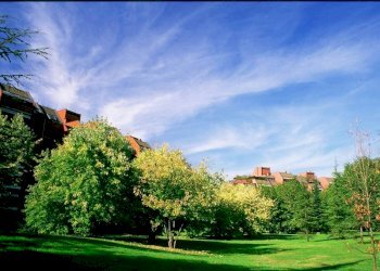 Trilocale Basiglio - foto 21