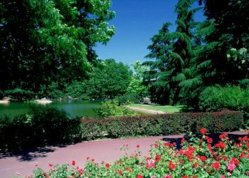 Trilocale Basiglio - foto 22