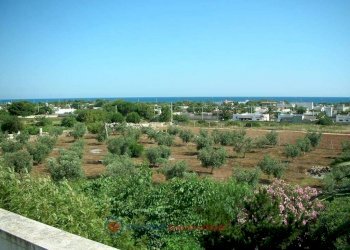 Vista - Villa vicolo Degli Ulivi, Manduria - foto 2