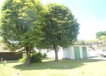 ALBERI - Villa via Vittorio Alfieri, 32, San Giovanni in Persiceto - foto 8