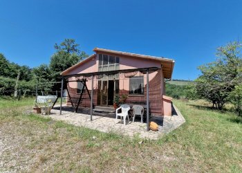 20240711_123551.jpg - Villa MELEZZOLE, Montecchio - foto 18