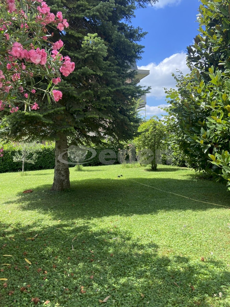 IMG_5167.JPG - Independent house Via Perugino 12, Castelfranco Emilia - photo 3