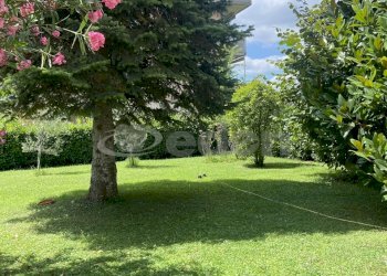 IMG_5167.JPG - Casa indipendente Via Perugino 12, Castelfranco Emilia - foto 3