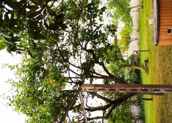 1719582981095.jpg - Villa Via Silene 30B, Anzio - foto 2