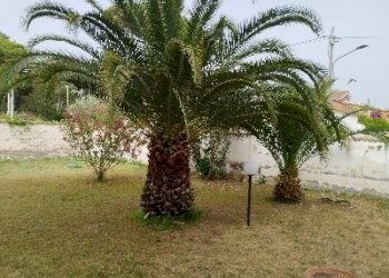 1719582981211.jpg - Villa Via Silene 30B, Anzio - foto 8