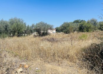 Terreno edificabile Budoni - foto 4