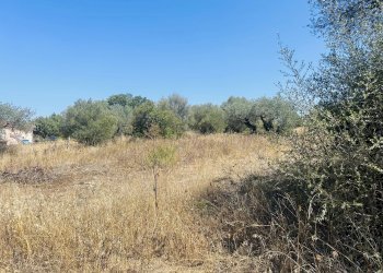 Terreno edificabile Budoni - foto 6