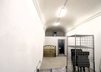 Negozio Reggio nell'Emilia - foto 4