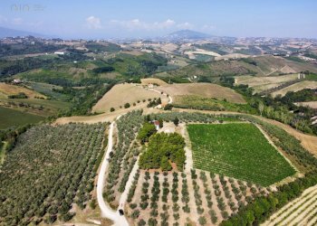 Rustico Contrada Forola, Acquaviva Picena - foto 17