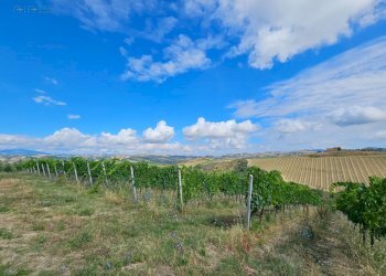 Rustico Contrada Forola, Acquaviva Picena - foto 23
