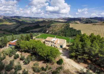 Azienda agricola Contrada Forola, Acquaviva Picena - foto 9