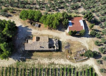Azienda agricola Contrada Forola, Acquaviva Picena - foto 10