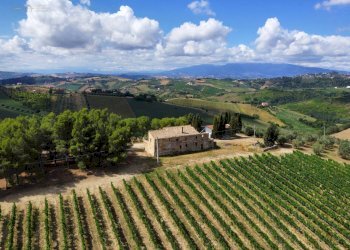 Azienda agricola Contrada Forola, Acquaviva Picena - foto 14
