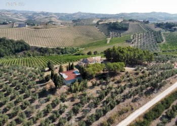 Azienda agricola Contrada Forola, Acquaviva Picena - foto 18