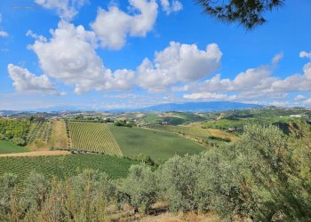 Azienda agricola Contrada Forola, Acquaviva Picena - foto 21