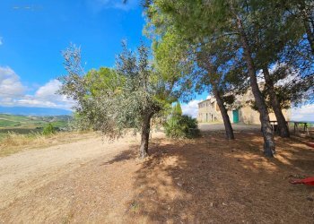 Azienda agricola Contrada Forola, Acquaviva Picena - foto 27