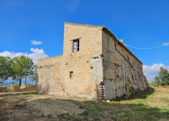 Azienda agricola Contrada Forola, Acquaviva Picena - foto 30