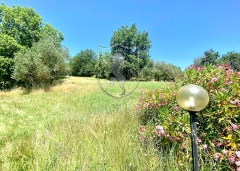 Rustico case sparse, Lucignano - foto 6