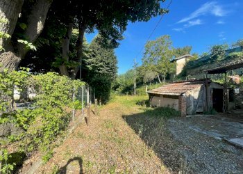 WhatsApp Image 2024-07-12 at 10.01.11.jpeg - Rustico Camaiore - foto 8