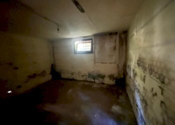 WhatsApp Image 2024-07-12 at 10.01.11 (9).jpeg - Rustico Camaiore - foto 18