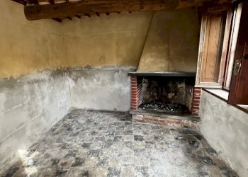 IMG_0136.jpg - Rustico Camaiore - foto 15