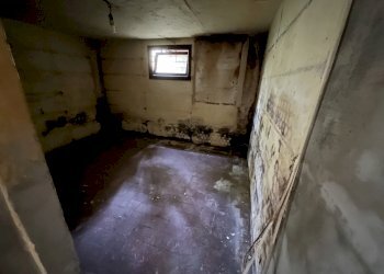 IMG_0142.jpg - Rustico Camaiore - foto 19