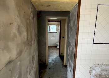 IMG_0141.jpg - Rustico Camaiore - foto 20