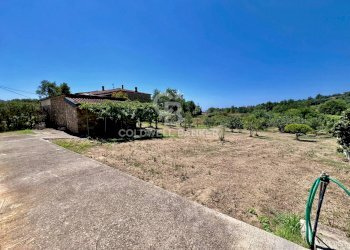 Villa Via Ardisani, Casal Velino - foto 3