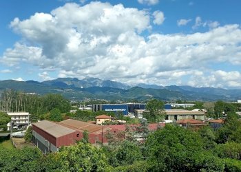 WhatsApp Image 2025-05-23 at 15.53.14.jpeg - Trilocale Ameglia - foto 10