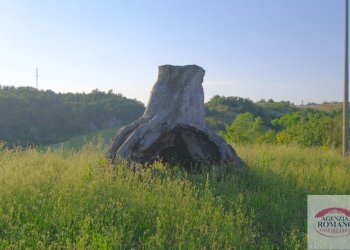 Rif 1577(Copy3).jpg - Casale Pareto - photo 5