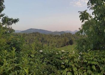 Villa Vicoforte - foto 40