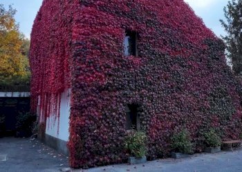 Villa Vicoforte - foto 41