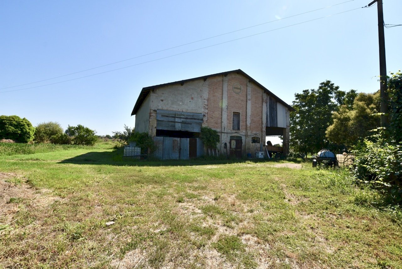 giardino - Rustico Via Beneamato, San Pietro in Casale - foto 1