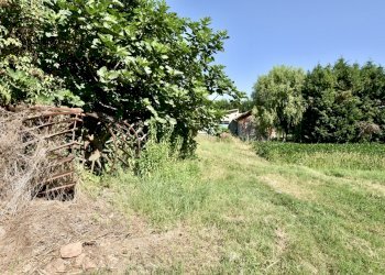 giardino - Rustico Via Beneamato, San Pietro in Casale - foto 8