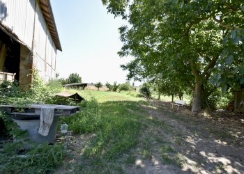 giardino - Rustico Via Beneamato, San Pietro in Casale - foto 13