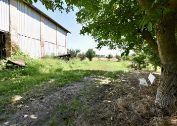 giardino - Rustico Via Beneamato, San Pietro in Casale - foto 14