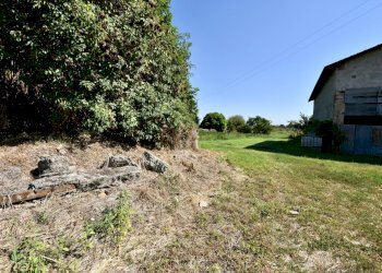 giardino - Rustico Via Beneamato, San Pietro in Casale - foto 21