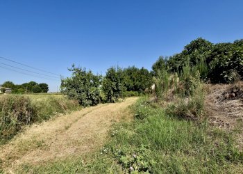 giardino - Rustico Via Beneamato, San Pietro in Casale - foto 22