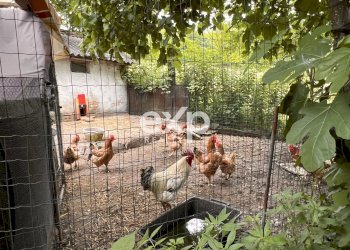 Villa Via A. Manzoni, Bagnaria - foto 50