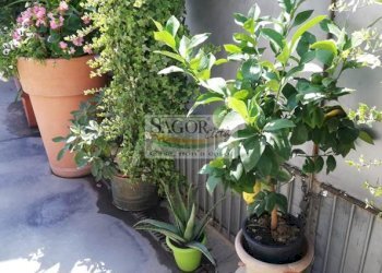 Independent house Vigone - photo 15