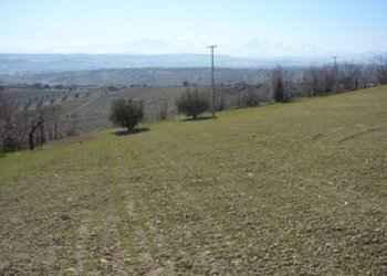 Terreno edificabile CONTRADA GIARDINO, Colonnella - foto 1