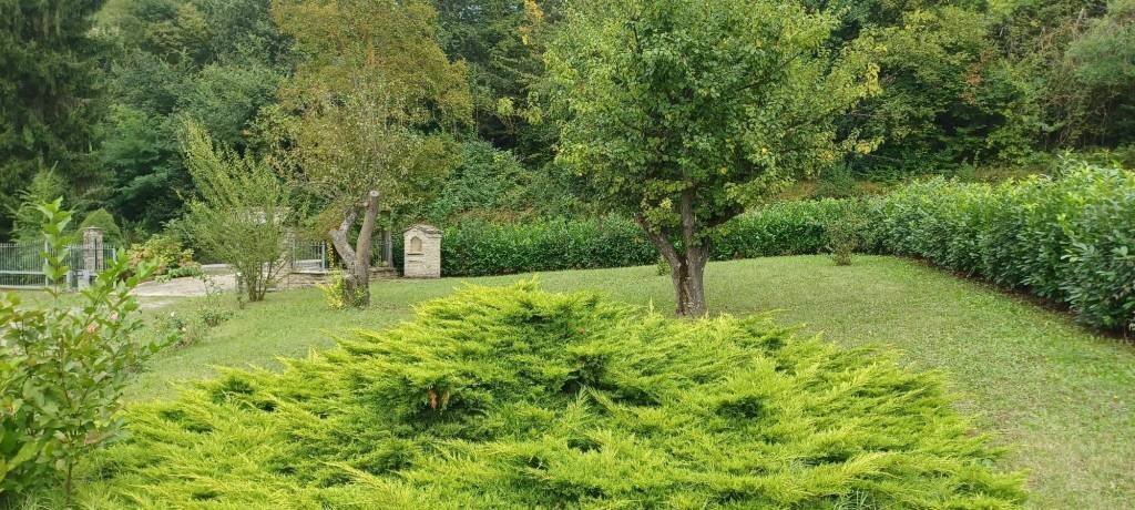 Terreno - Rustico via Provinciale, 69, Cravanzana - foto 2