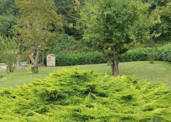 Terreno - Rustico via Provinciale, 69, Cravanzana - foto 3