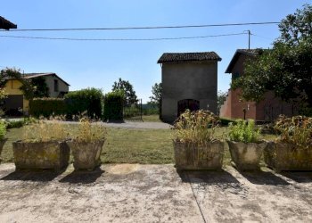 Terreno - Rustico via Ronchi, Mombercelli - foto 26