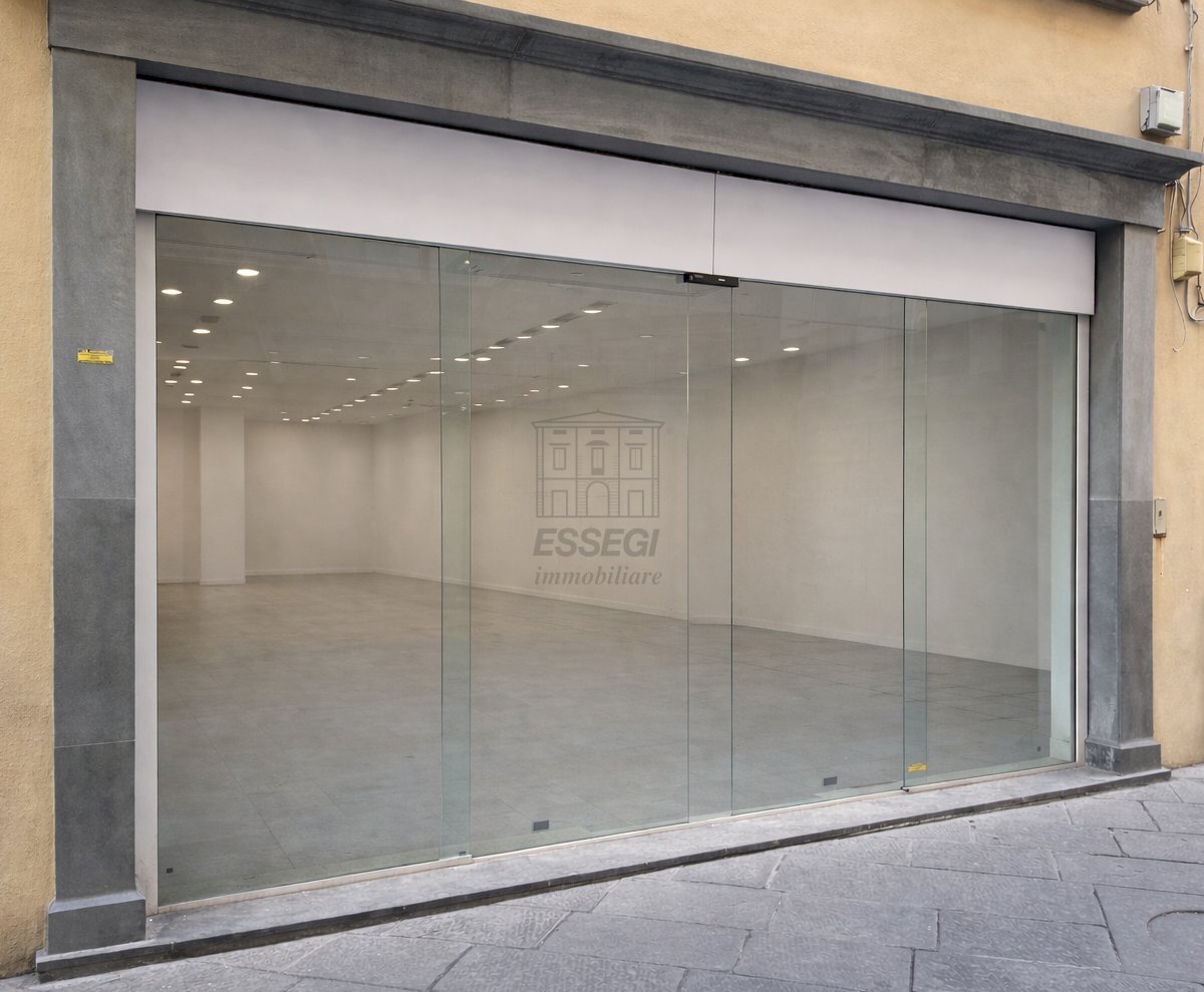 affittasi fondo commerciale di ampie dimensioni pn - Locale Commerciale Piazza Napoleone, Lucca - foto 3