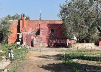 2-4000.jpg - Casa indipendente Via Bernardino Desa 14, Copertino - foto 2