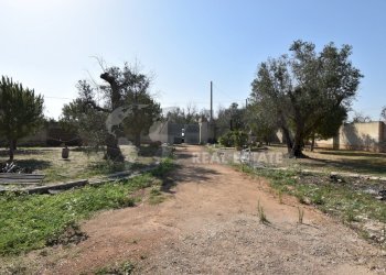 5-4000.jpg - Casa indipendente Via Bernardino Desa 14, Copertino - foto 5