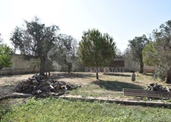 6-4000.jpg - Casa indipendente Via Bernardino Desa 14, Copertino - foto 6