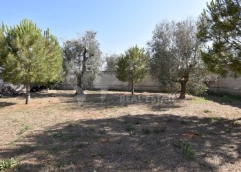 7-4000.jpg - Casa indipendente Via Bernardino Desa 14, Copertino - foto 7